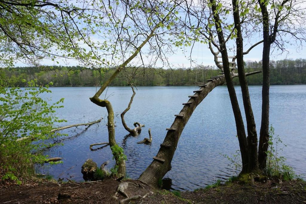 Mit Seeblick Und